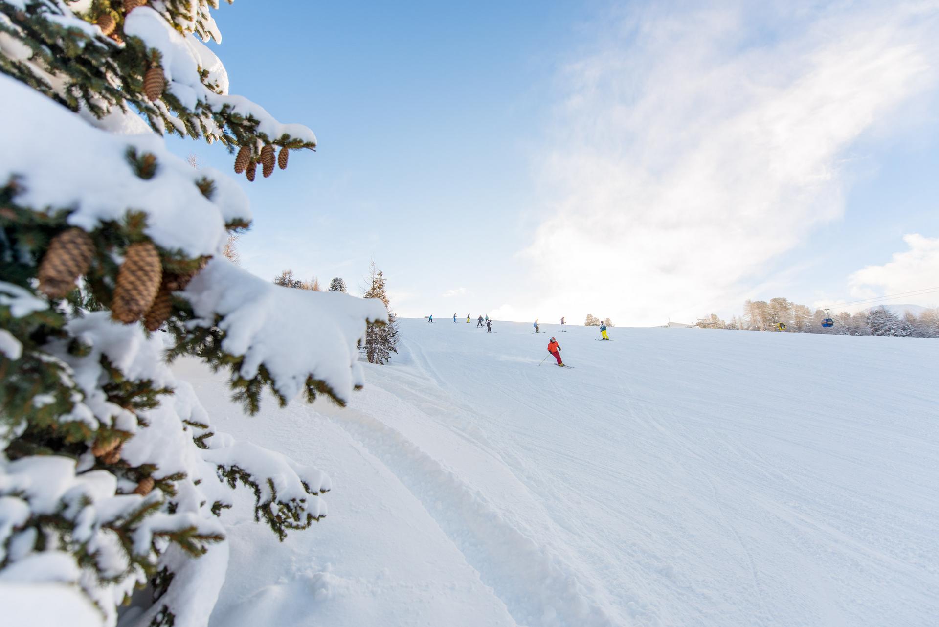 Schöneben am Reschenpass Baum mit Schnee und Skifahrer